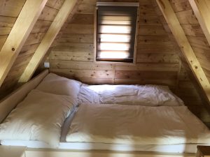 IMG-190dc6cdcf42a9d3cdbe135ac59183ef-V